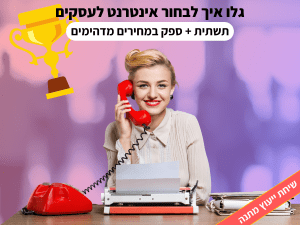 אינטרנט לעסקים