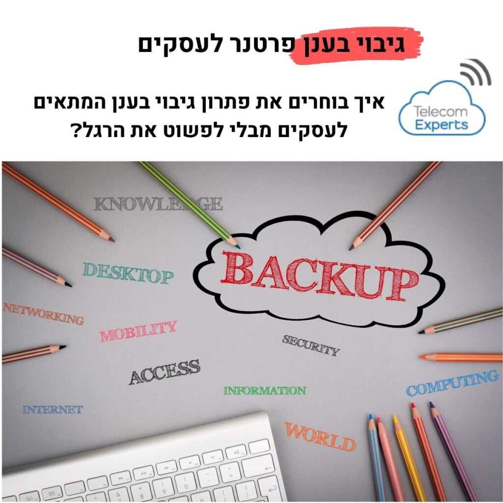 גיבוי בענן פרטנר לעסקים