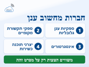 ארבעה סוגים של חברות מחשוב ענן: ספקיות גלובליות, ספקי תקשורת מקומיים, אינטגרטורים ויצרני תוכנה כשירות