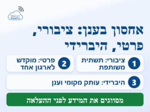 אחסון בענן ציבורי, פרטי והיברידי לעסק: תשתית משותפת, ענן מוקדש לארגון אחד ושילוב של עותק מקומי וענן